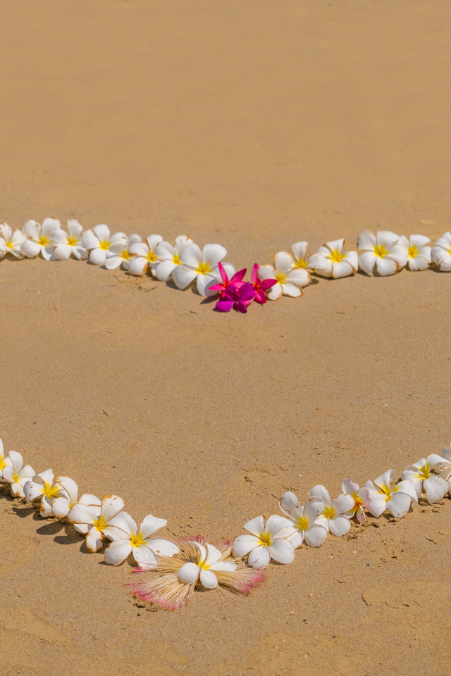 Сердце из цветов плюмерии на песке