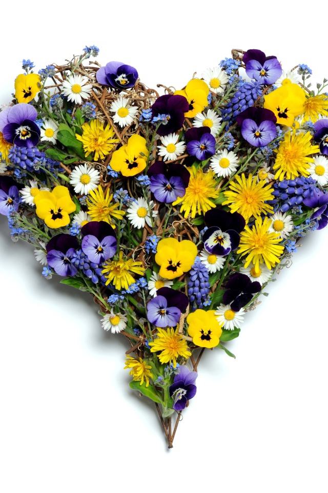 Сердце из полевых цветов на белом фоне