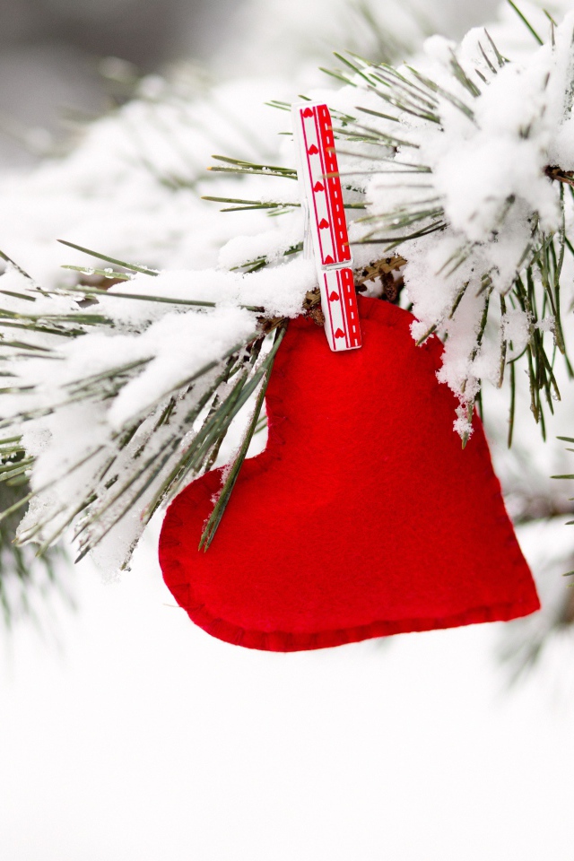 Красное сердечно висит на покрытой снегом сосновой ветке