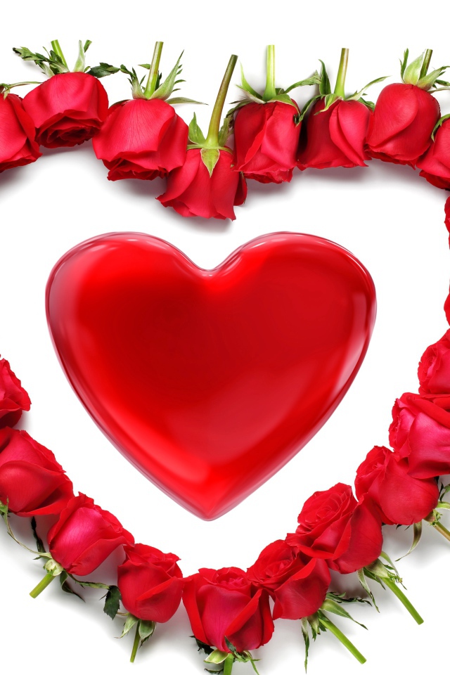 Красные розы вокруг красного сердца на белом фоне
