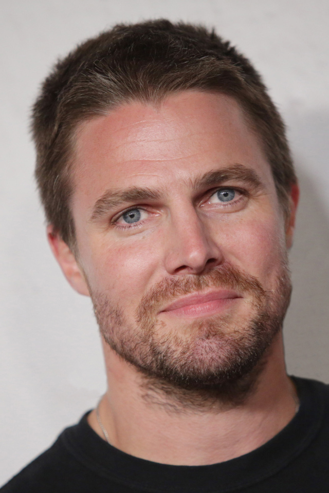 Канадский актер Стивен Амелл