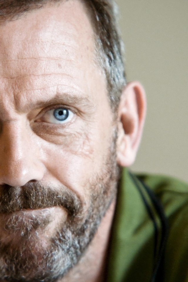 Популярный актер Хью Лори