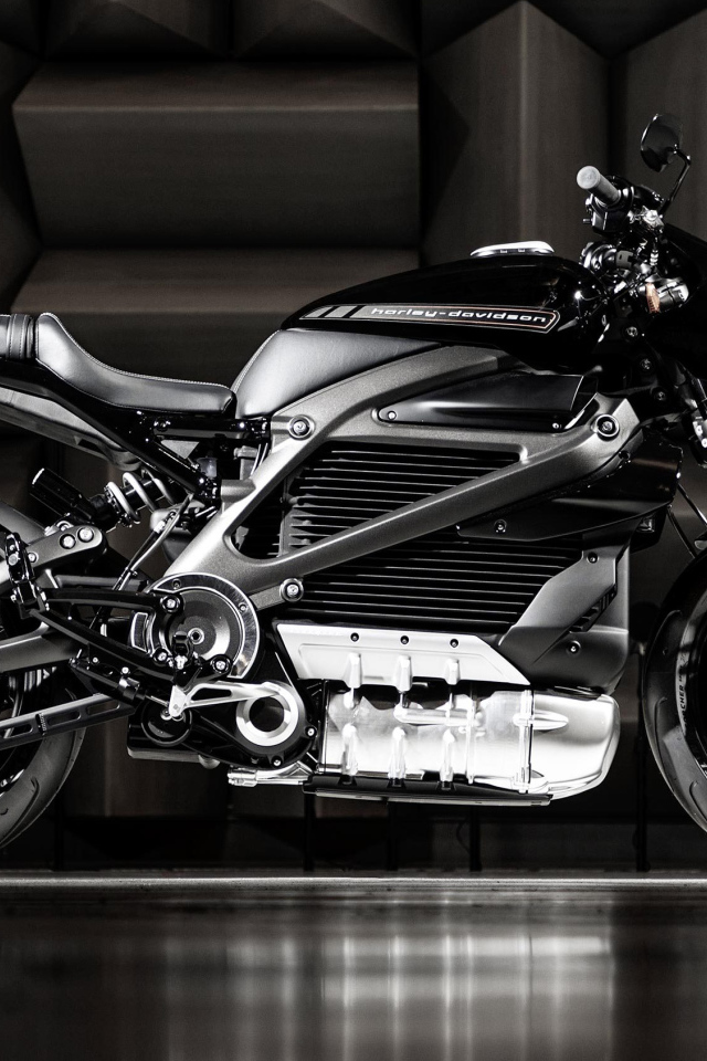Дорогой электрический мотоцикл  Harley-Davidson, 2020 
