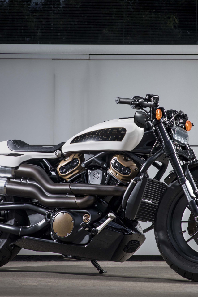 Мотоцикл Harley-Davidson Custom, 2020