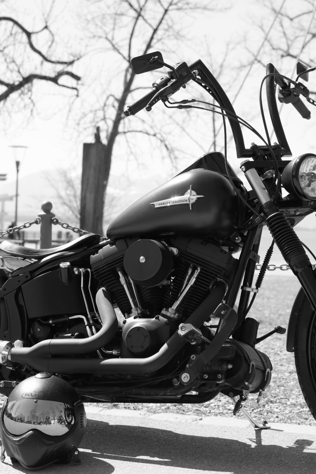 Мотоцикл  Harley-Davidson черно белое фото