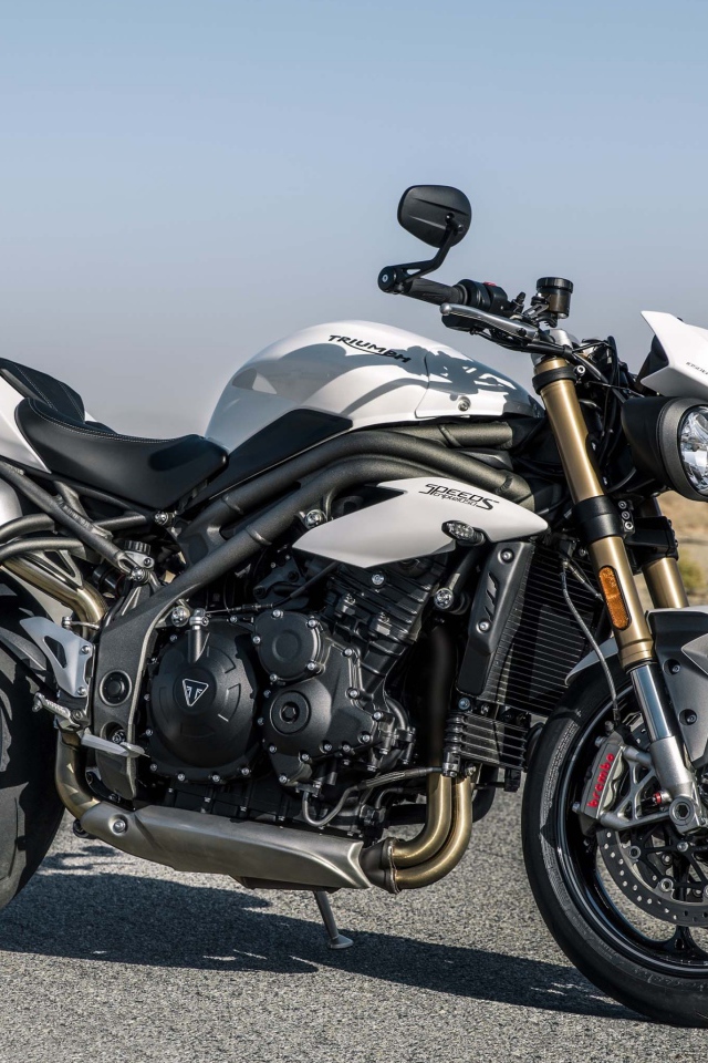 Мотоцикл Triumph Speed Triple S, 2018 на трассе