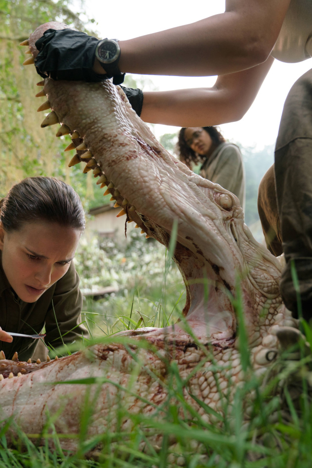 Кадр из фильма Аннигиляция, 2018