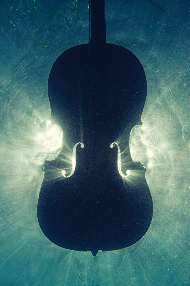 Скрипка тонет в воде