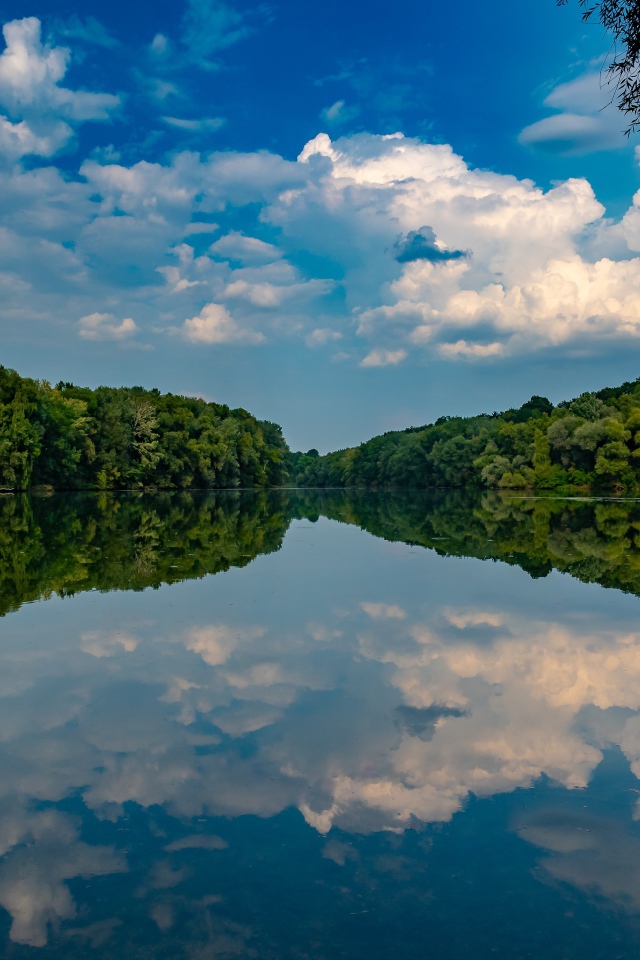 Красивое голубое небо и зеленый лес отражаются в зеркальной глади озера