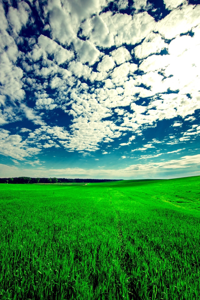 Красивые белые облака в голубом небе над зеленым полем
