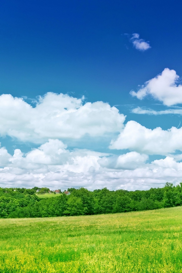 Blue sky with white clouds over green field