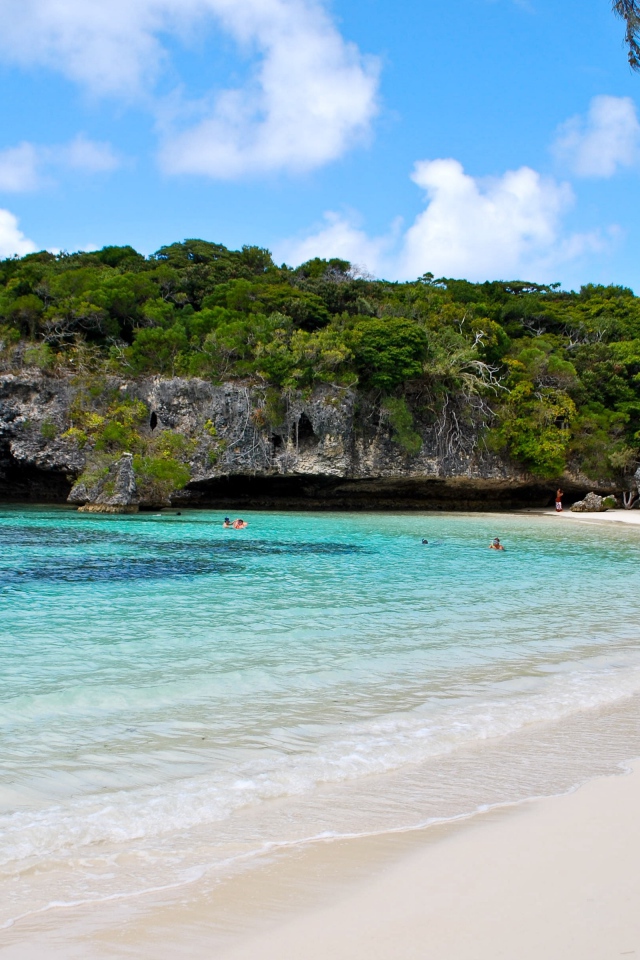 Покрытая зеленью сказала около пляжа на морском берегу 
