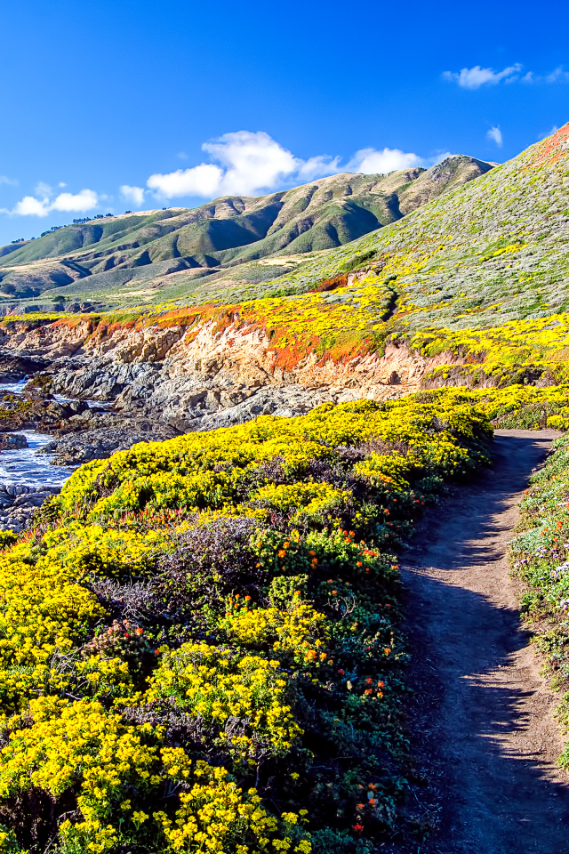 Покрытые растительностью горы на берегу моря