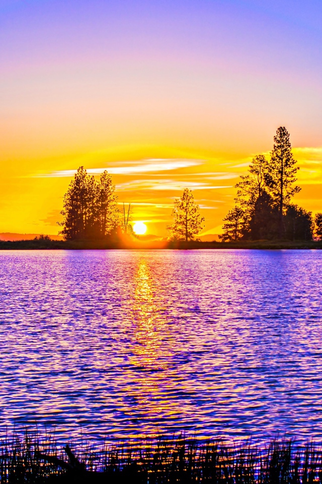 Рассвет яркого солнца над рекой