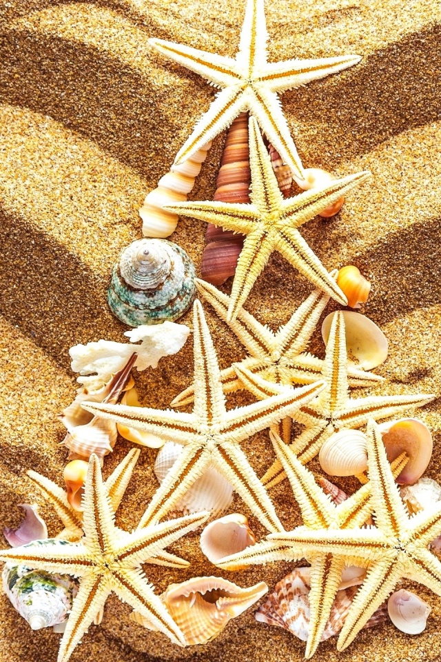 Елка из морских звезд на разноцветном песке 