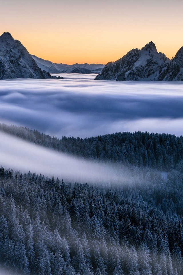 Туман покрывает лес и заснеженные верхушки гор