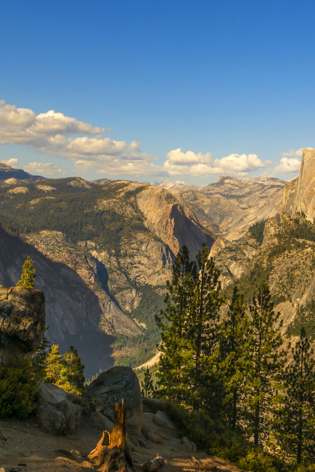 Покрытые лесом горы под голубым небом 