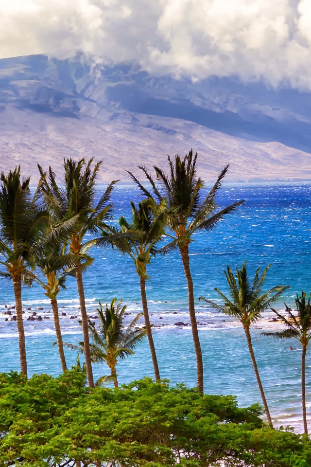 Зеленые пальмы на пляже у океана на фоне гор