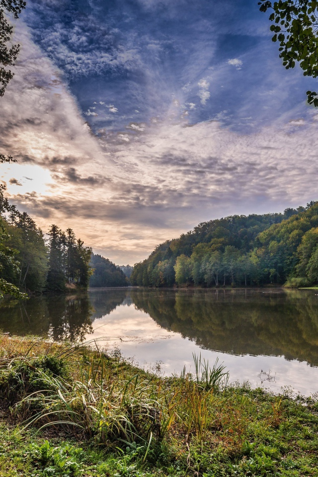 Зеленые деревья на берегу реки под красивым небом