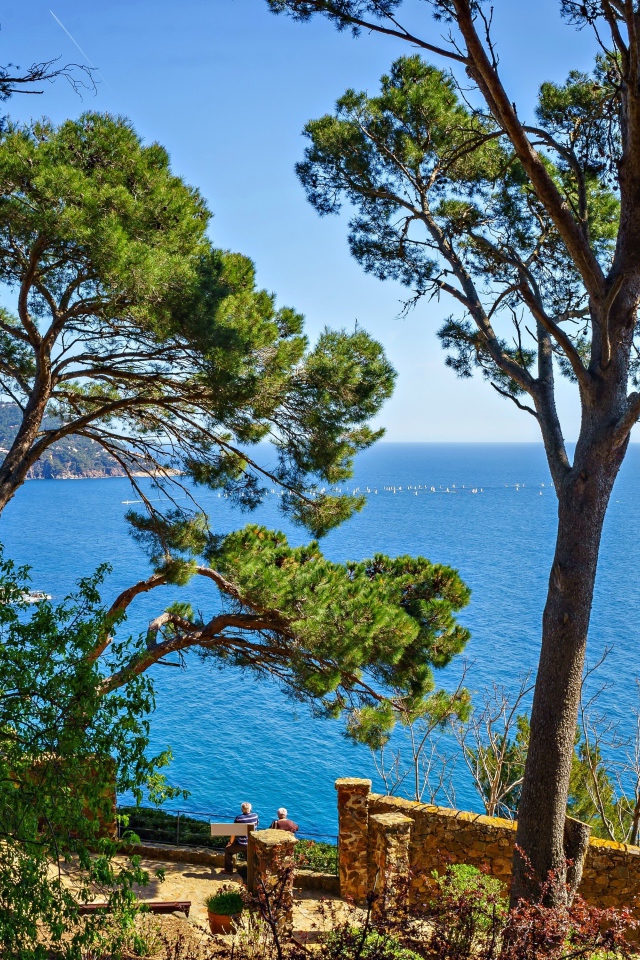 Высокие деревья на побережье на фоне моря, Испания