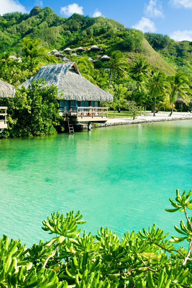 Дома на сваях на зеленом тропическом пляже