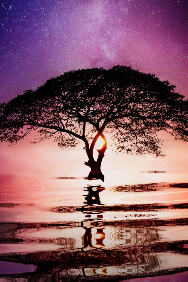 Большое ветвистое дерево в воде