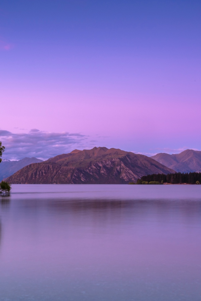 Одинокое дерево в воде на фоне гор на закате