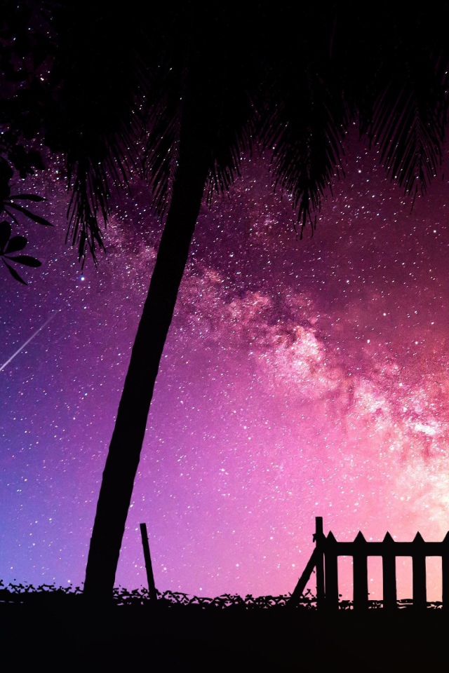 Силуэты деревьев на фоне звездного неба