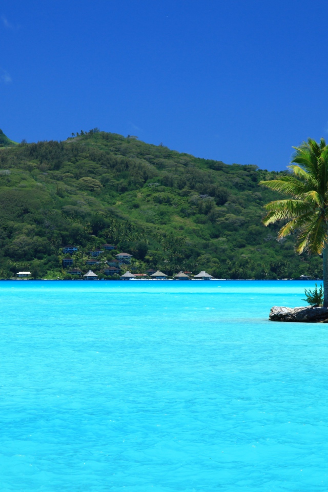 Маленькие островки с пальмами в голубом океане 