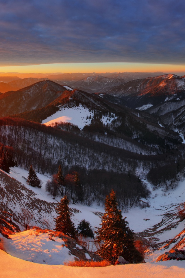 Заснеженные горы, покрытые деревьями в лучах солнца на закате