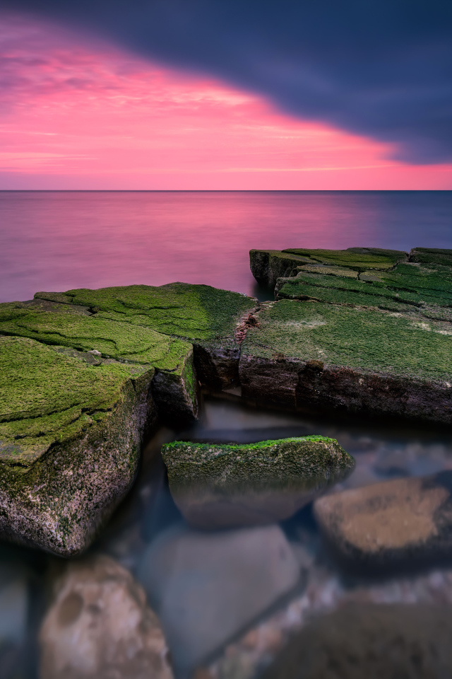 Покрытые зеленым мхом камни в воде