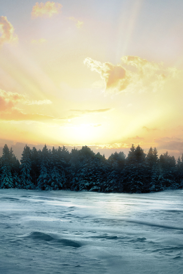 Восход солнца над заснеженным лесом