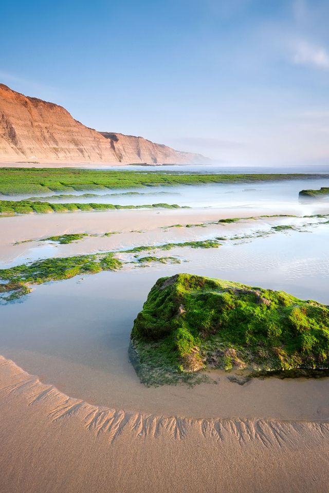 Камни на песчаном пляже покрыты зеленым мхом