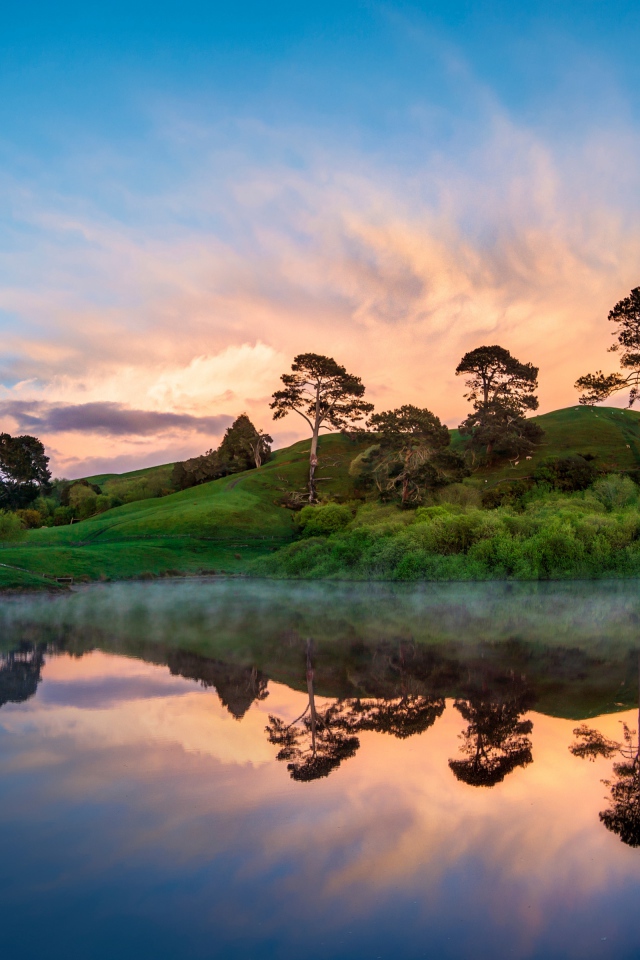 Деревья отражаются в воде на берегу озера на закате