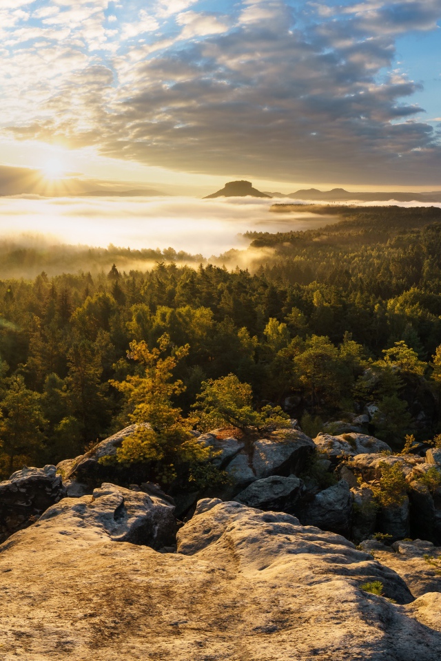 Вид со скалы на покрытый туманом лес и озеро на восходе солнца