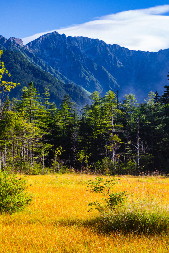 Вид на горы и лес под голубым небом, Япония