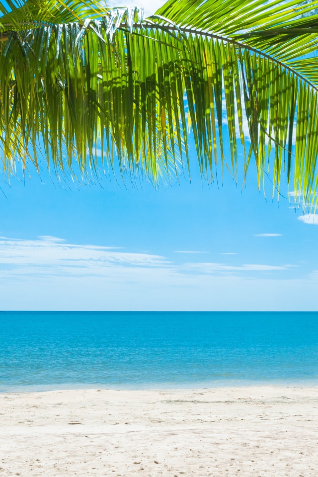 Красивый тропический пляж под голубым небом 