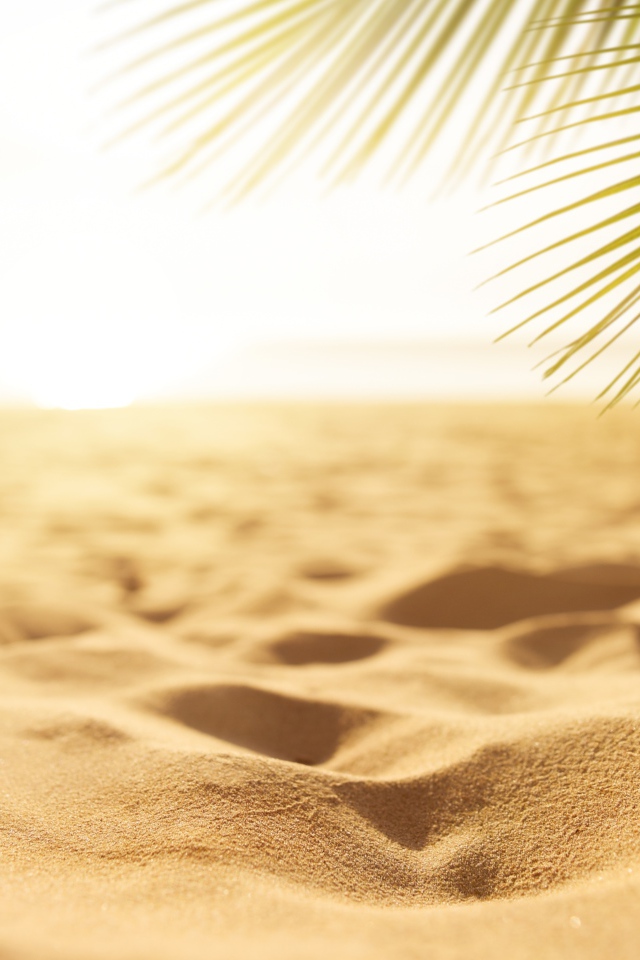 Горячий желтый песок на пляже под палящим солнцем