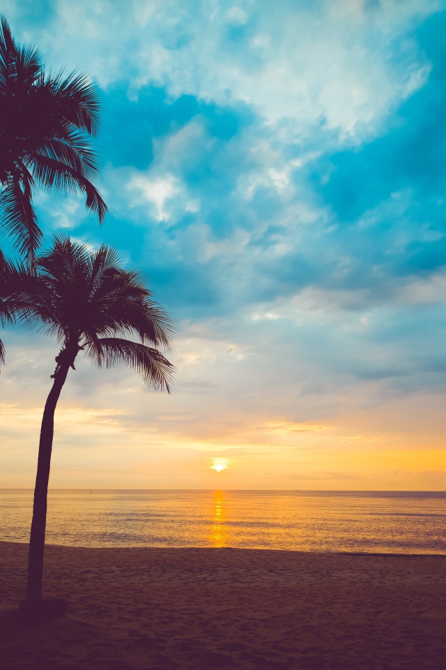 Закат солнца в небе на тропическом пляже