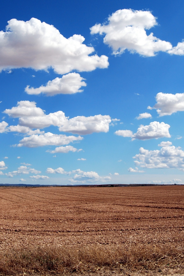 Белые пушистые облака в голубом небе над полем осенью 