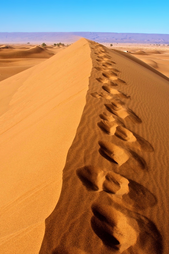 Следы на горячем песке в пустыне Сахара