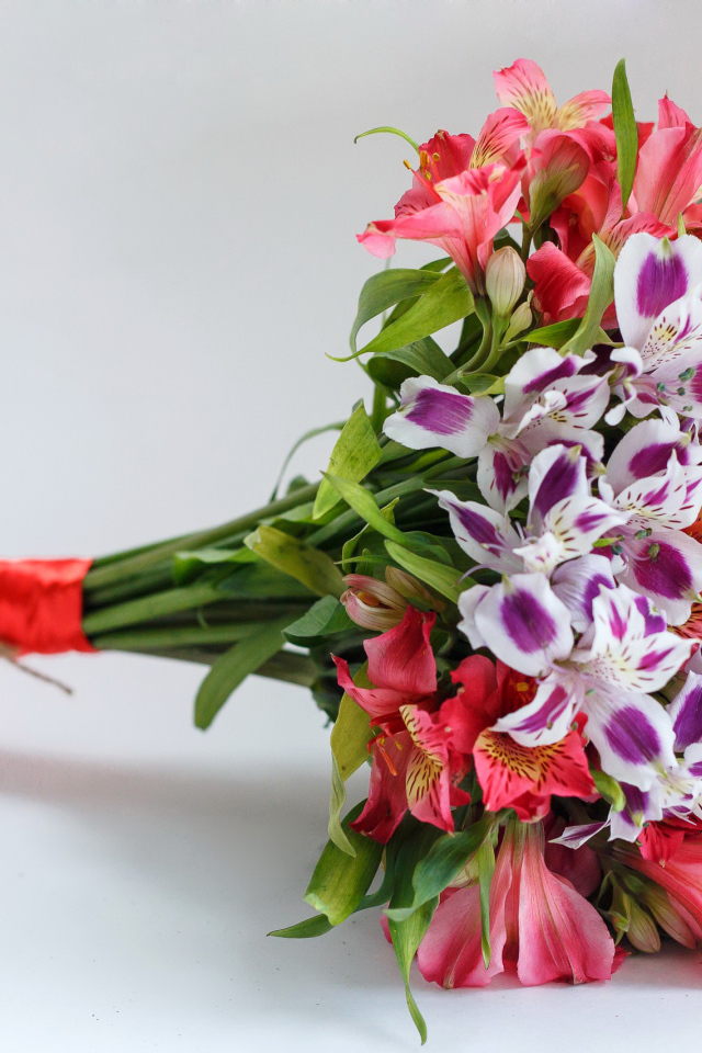 Букет цветов альстромерия на сером фоне 