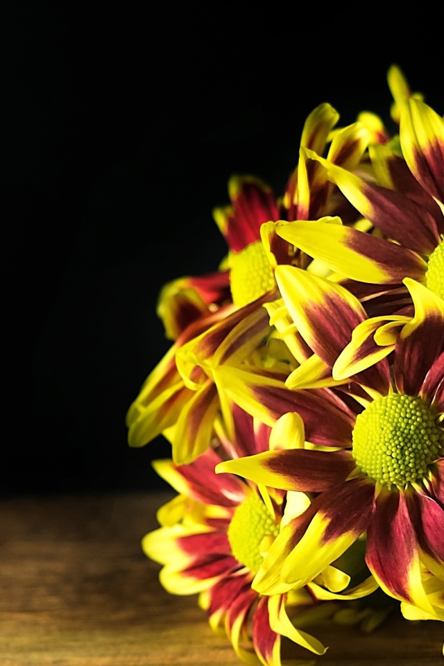 Букет газании на деревянном столе