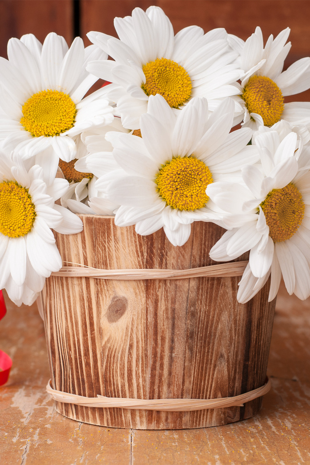 Букет больших белых ромашек в деревянной вазе