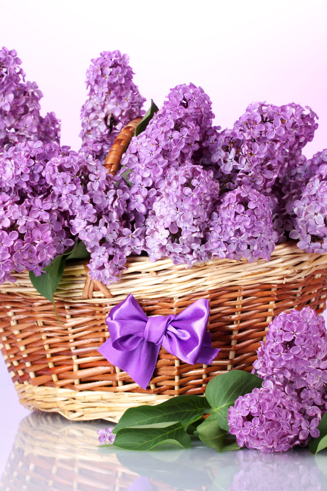 Букет сирени в корзине с бантиком
