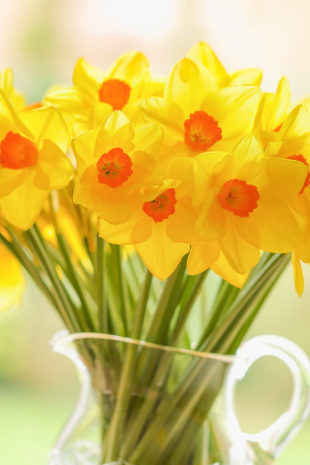 Букет желтых нарциссов в стеклянной вазе