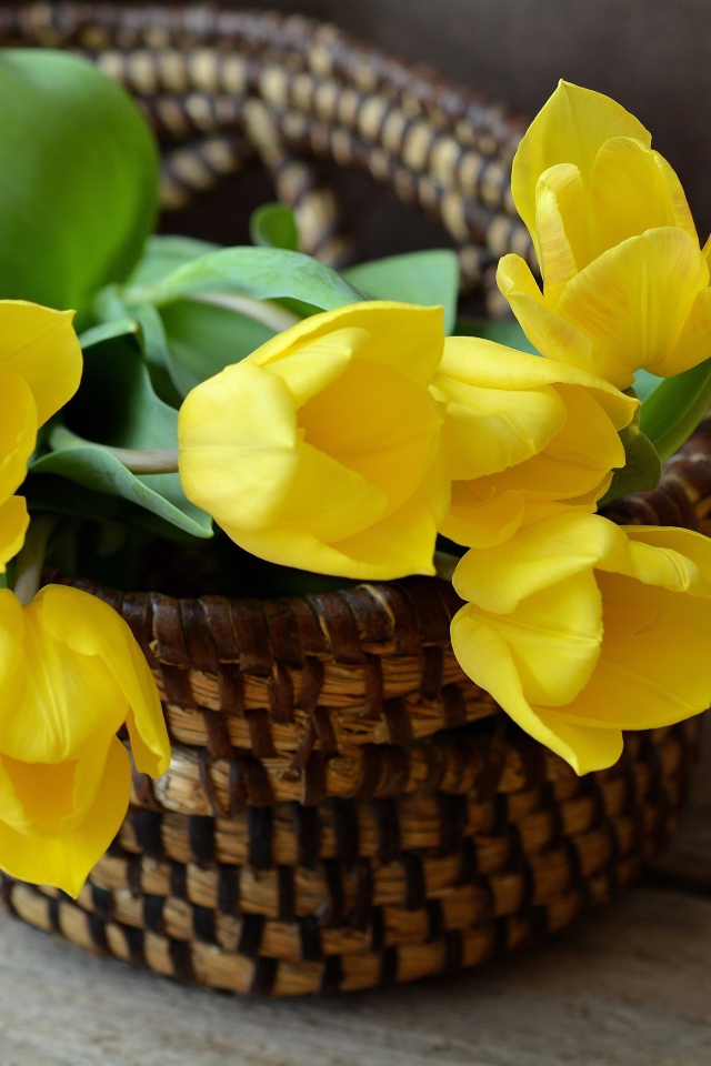 Букет желтых тюльпанов в корзине