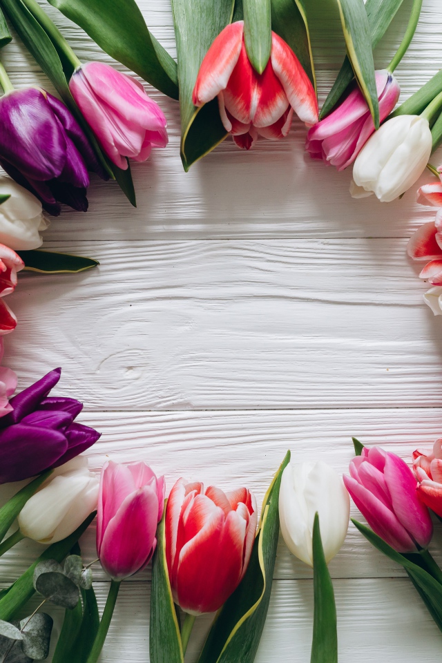 Круг из разноцветных тюльпанов на столе 