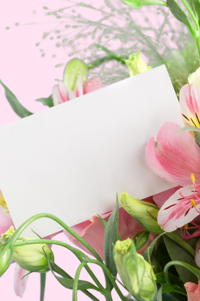 Альстрёмерия с белым листом бумаги, шаблон для открытки
