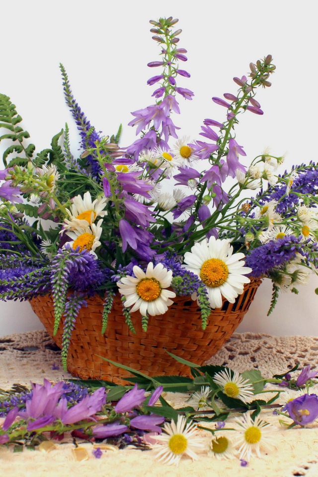 Корзина красивых полевых цветов на сером фоне